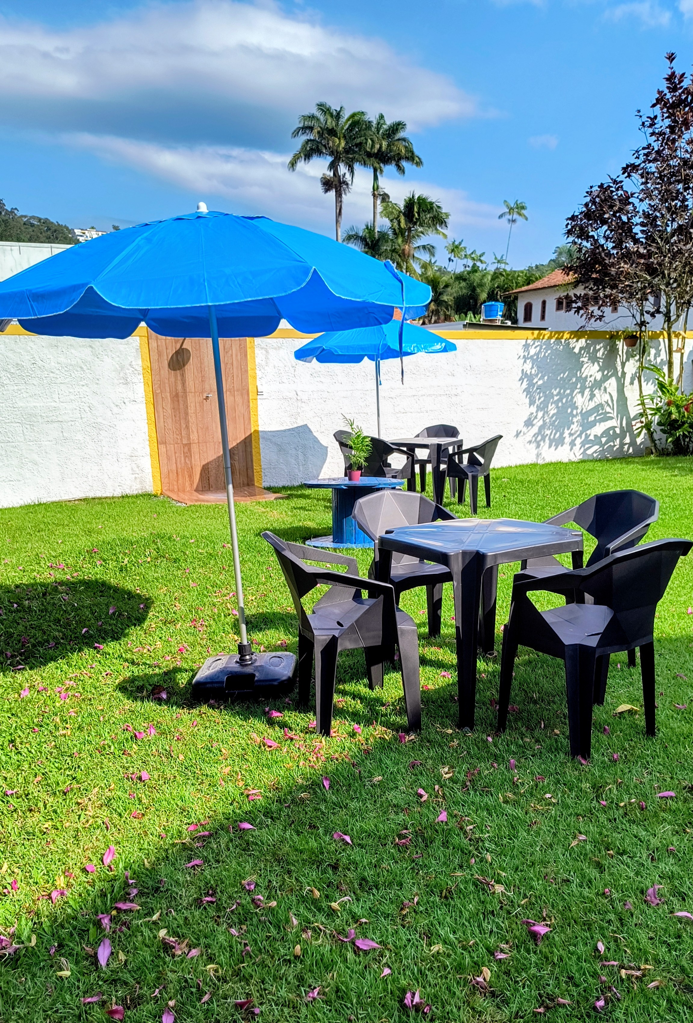 Jardim com Beija-flores
